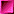 square50_pink.gif